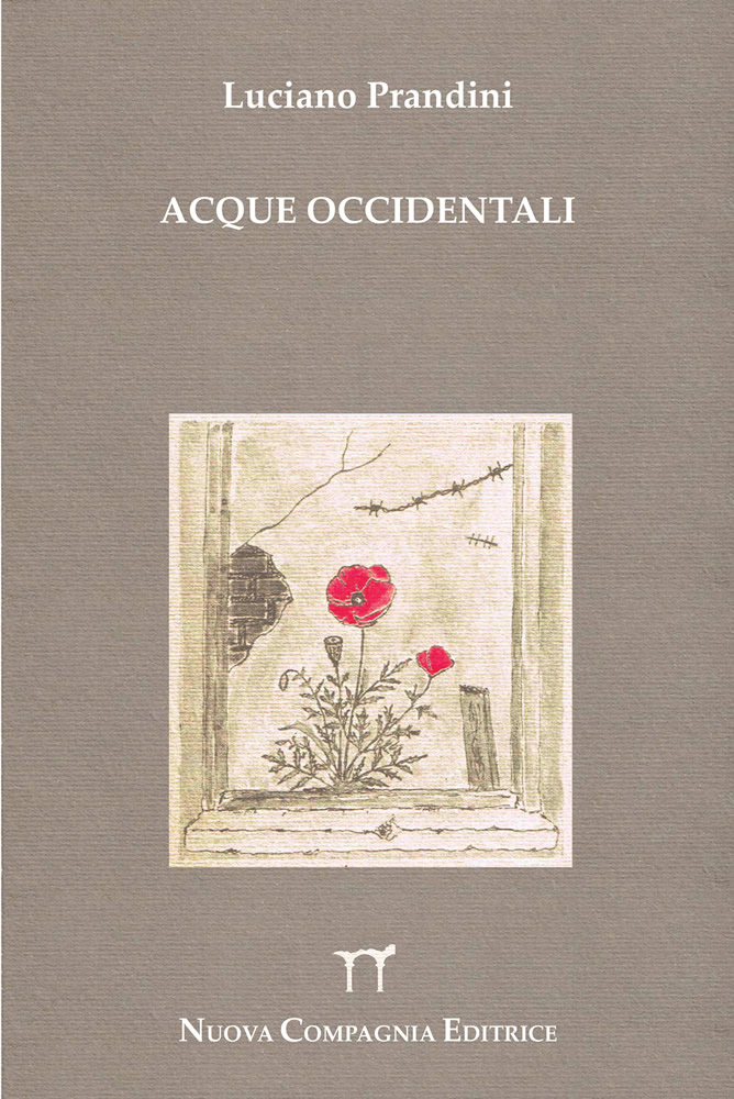 acque occidentali